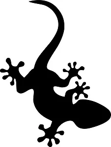 Naklejka Salamandra 2