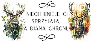 Kubek biały Super Glaze Premium Diana chroni